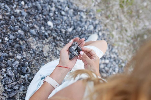 Reasons Why You Should Collect A Rock